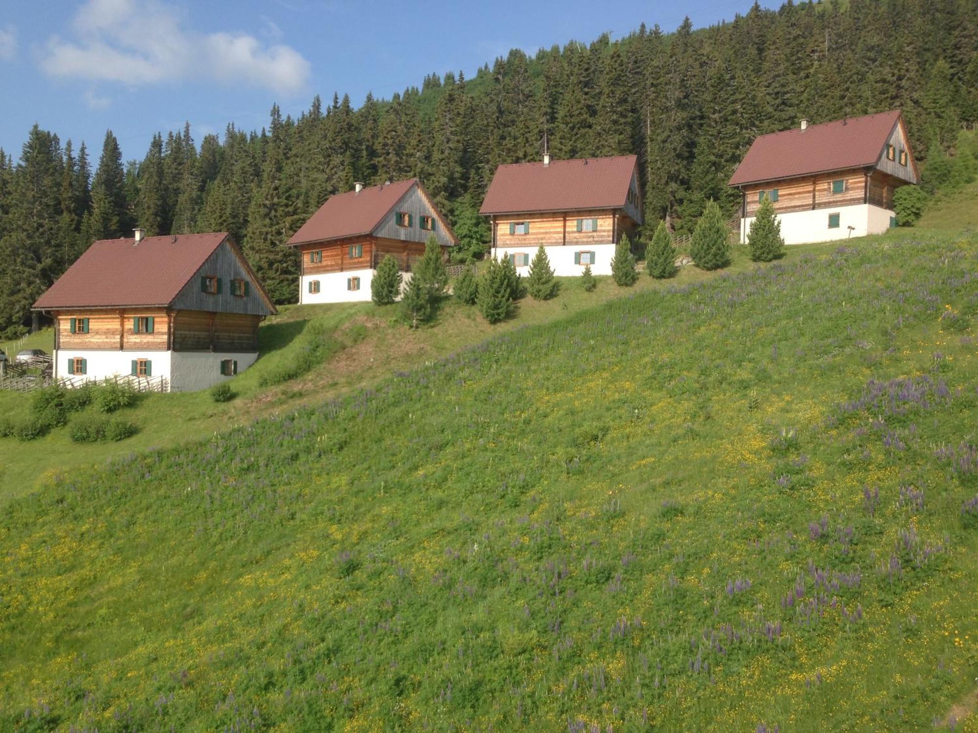 Almhütten Moselebauer Klippitztorl Exterior foto