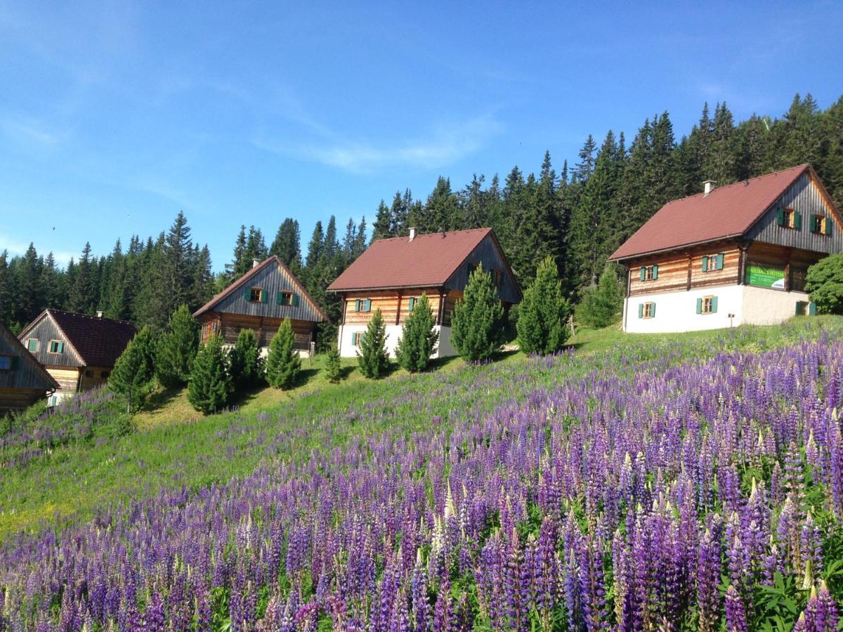 Almhütten Moselebauer Klippitztorl Exterior foto